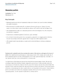 Elementary Particle
