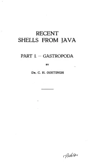 Recent Shells from Java