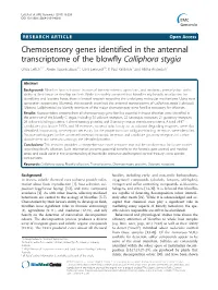 Chemosensory Genes Identified in the Antennal Transcriptome of The