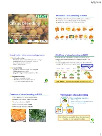 Citrus Breeding