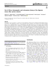 Out of Africa: Demographic and Colonization History of the Algerian Mouse (Mus Spretus Lataste)