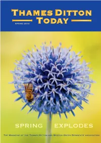 SPRING 2010 Published Quarterly Since Spring 1970