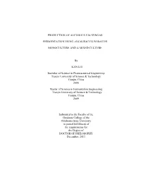 Production of Alcohols Via Syngas Fermentation Using