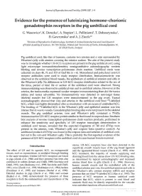 Gonadotrophin Receptors in the Pig Umbilical Cord G