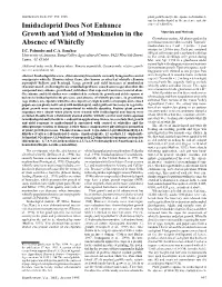 Imidacloprid Does Not Enhance Growth and Yield of Muskmelon In