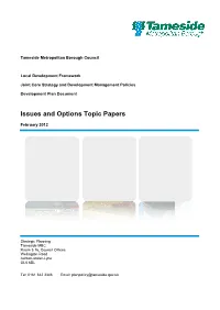Issues and Options Topic Papers