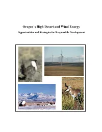 Oregon's High Desert and Wind Energy