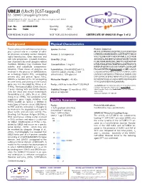 UBE2I (Ubc9) [GST-Tagged] E2 - SUMO Conjugating Enzyme