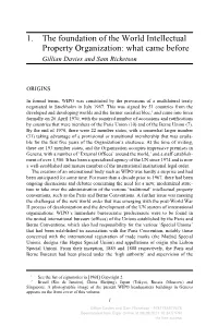 1. the Foundation of the World Intellectual Property Organization: What Came Before Gillian Davies and Sam Ricketson