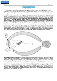 PARALICHTHYIDAE Sand Flounders by T.A
