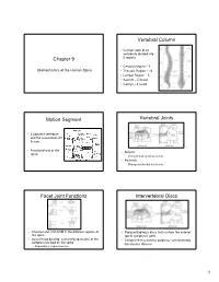 Chapter 9 Vertebral Column Motion Segment Vertebral Joints Facet Joint Functions Intervertebral Discs