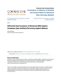 Differential Gene Expression of Minnesota (MN) Hygienic Honeybees (Apis Mellifera) Performing Hygienic Behavior