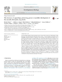 Original Research Articlethe Function of Appendage Patterning Genes In