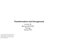 Transformation and Oncogenesis Lecture 18 Biology 3310/4310 Virology Spring 2017