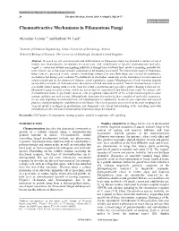 Chemoattractive Mechanisms in Filamentous Fungi