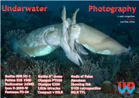 Compact Or DSLR? by Peter Rowlands