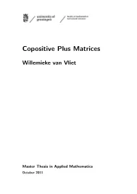 Copositive Plus Matrices