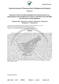 Cyclin and Growth Arrest-Specific Genes