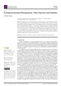 Ferroptosis-Related Flavoproteins: Their Function and Stability
