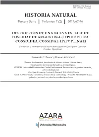 Lepidoptera: Cossoidea: Cossidae: Hypoptinae)