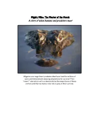 Master of the Marsh Information for Cart