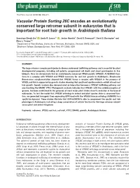 Vacuolar Protein Sorting 26C Encodes an Evolutionarily Conserved Large Retromer Subunit in Eukaryotes That Is Important for Root Hair Growth in Arabidopsis Thaliana