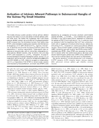 Activation of Intrinsic Afferent Pathways in Submucosal Ganglia of the Guinea Pig Small Intestine