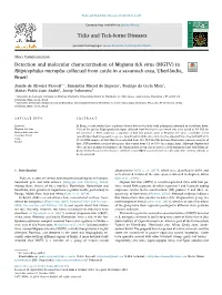Detection and Molecular Characterization of Mogiana Tick Virus