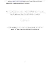 Return of a Lost Structure in the Evolution of Felid Dentition Revisited: a Devoevo Perspective on the Irreversibility of Evolution