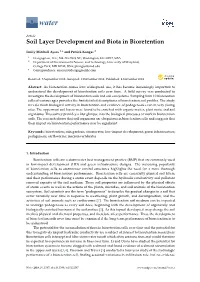 Soil Layer Development and Biota in Bioretention