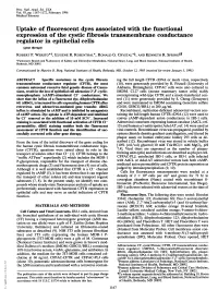 Uptake of Fluorescent Dyes Associated with the Functional Expression of The
