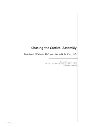 Chasing the Cortical Assembly