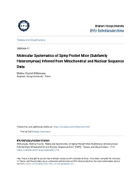 Molecular Systematics of Spiny Pocket Mice (Subfamily Heteromyinae) Inferred from Mitochondrial and Nuclear Sequence Data