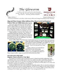 The Gloworm Cicadas Are the Souls of Poets Who Cannot Keep Quiet Because, When They Were Alive, They Never Wrote the Poems They Wanted To