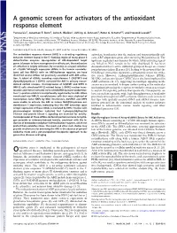 A Genomic Screen for Activators of the Antioxidant Response Element