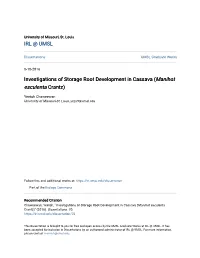 Investigations of Storage Root Development in Cassava (Manihot Esculenta Crantz)