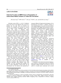 Letter to the Editor Potential Function of MMP3 Gene in Degradation Of