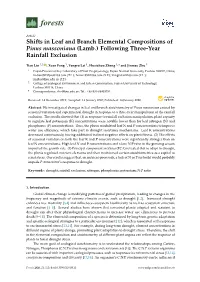 Shifts in Leaf and Branch Elemental Compositions of Pinus Massoniana (Lamb.) Following Three-Year Rainfall Exclusion