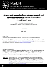 Download PDF Version