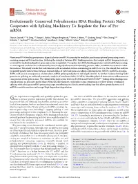 Evolutionarily Conserved Polyadenosine RNA Binding Protein Nab2 Cooperates with Splicing Machinery to Regulate the Fate of Pre- Mrna Downloaded From