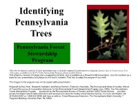 Identifying PA. Trees