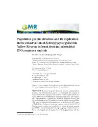 Population Genetic Structure and Its Implication in the Conservation of Schizopygopsis Pylzovi in Yellow River As Inferred from Mitochondrial DNA Sequence Analysis
