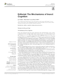 The Mechanisms of Insect Cognition