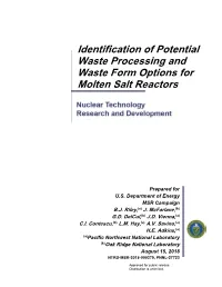 Identification of Potential Waste Processing and Waste Form Options for Molten Salt Reactors