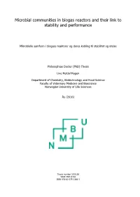 Microbial Communities in Biogas Reactors and Their Link to Stability and Performance