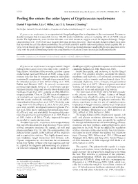 The Outer Layers of Cryptococcus Neoformans