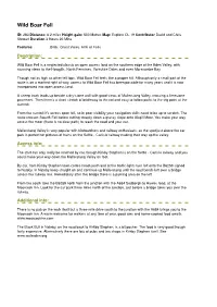 Walk Guide Print