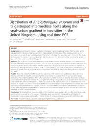 Distribution of Angiostrongylus Vasorum and Its