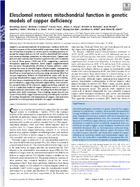 Elesclomol Restores Mitochondrial Function in Genetic Models of Copper Deficiency