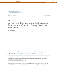 Short-Term Evolution of a Marsh Island System and the Importance of Cold
